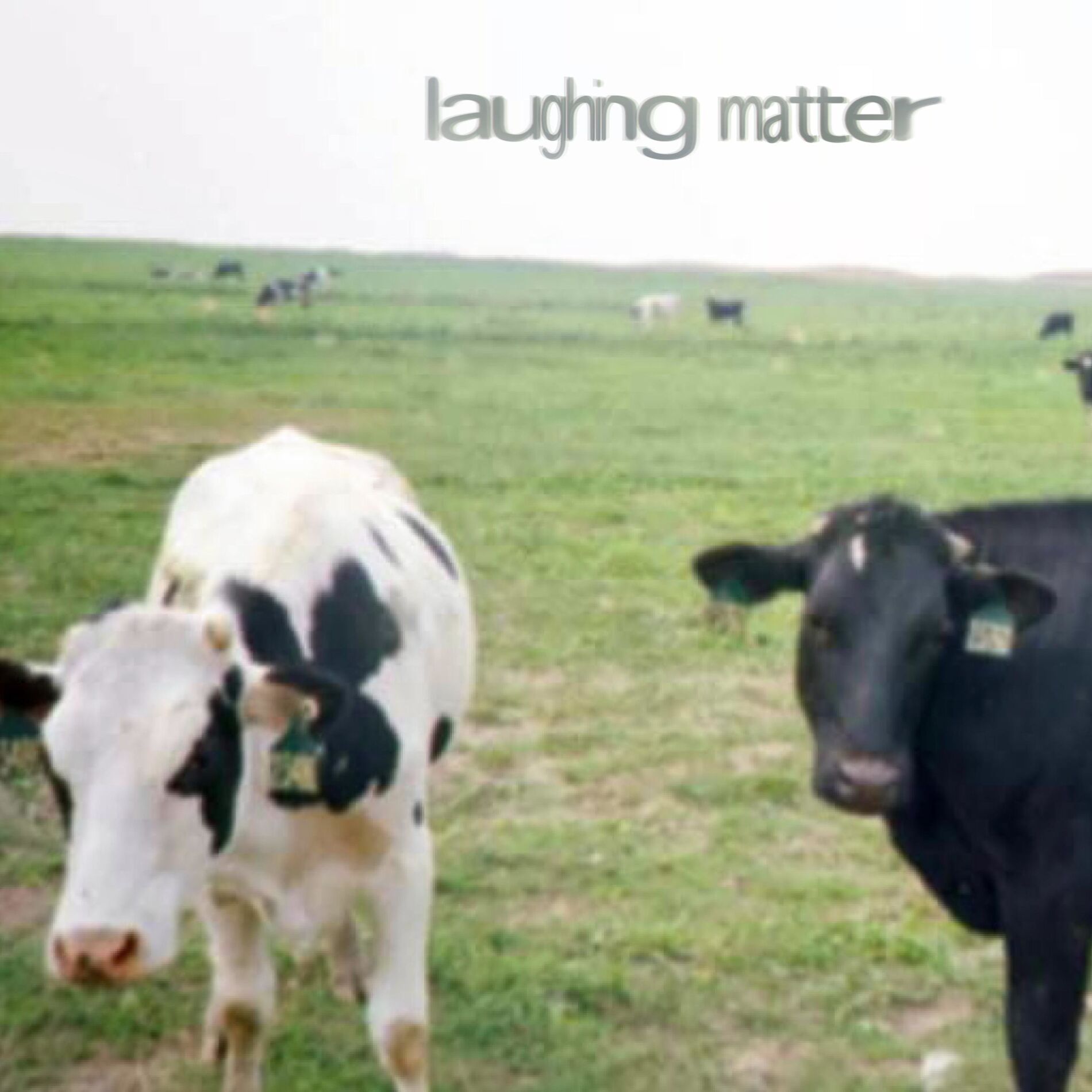Album cover of let's not and say we did