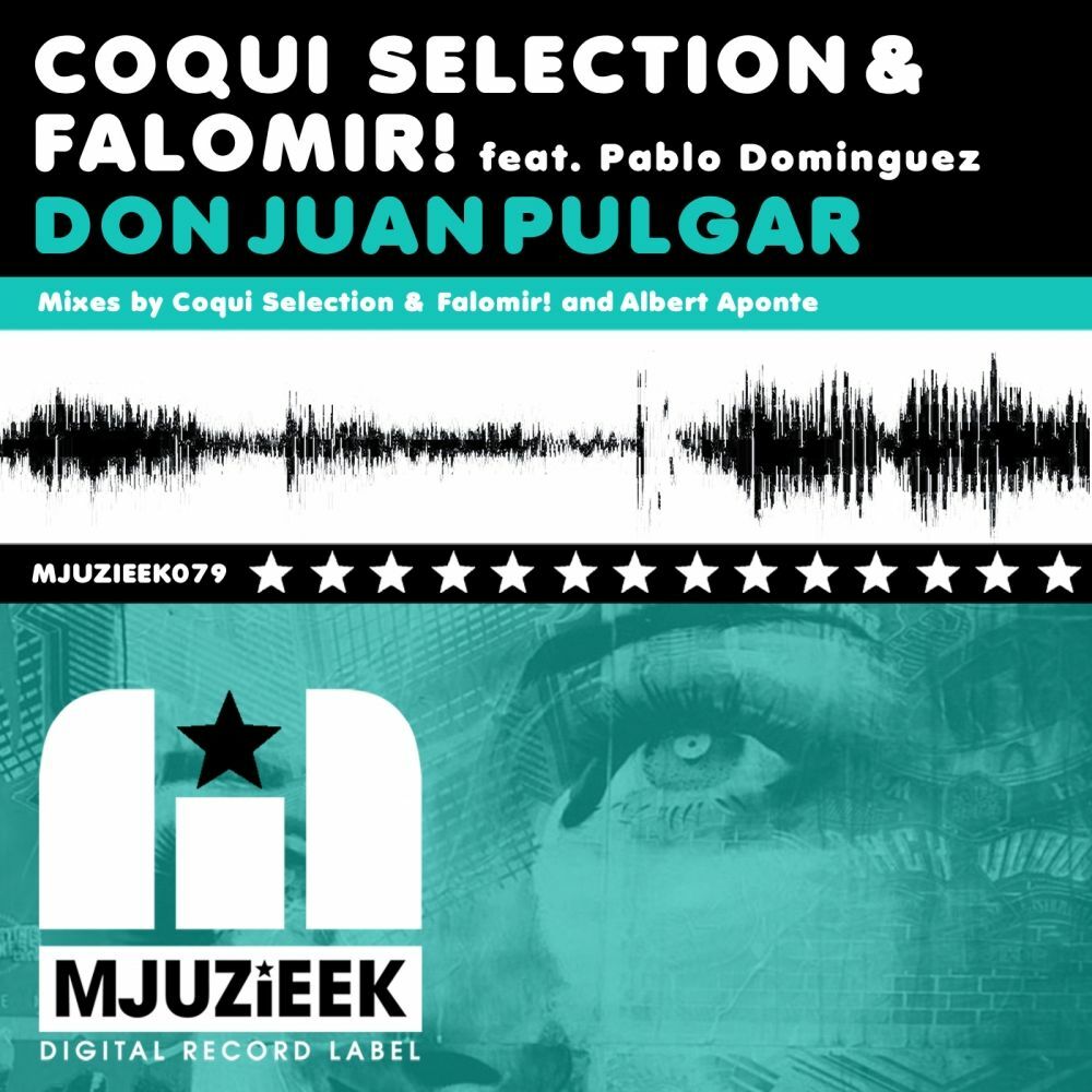 Picture of Don Juan Pulgar