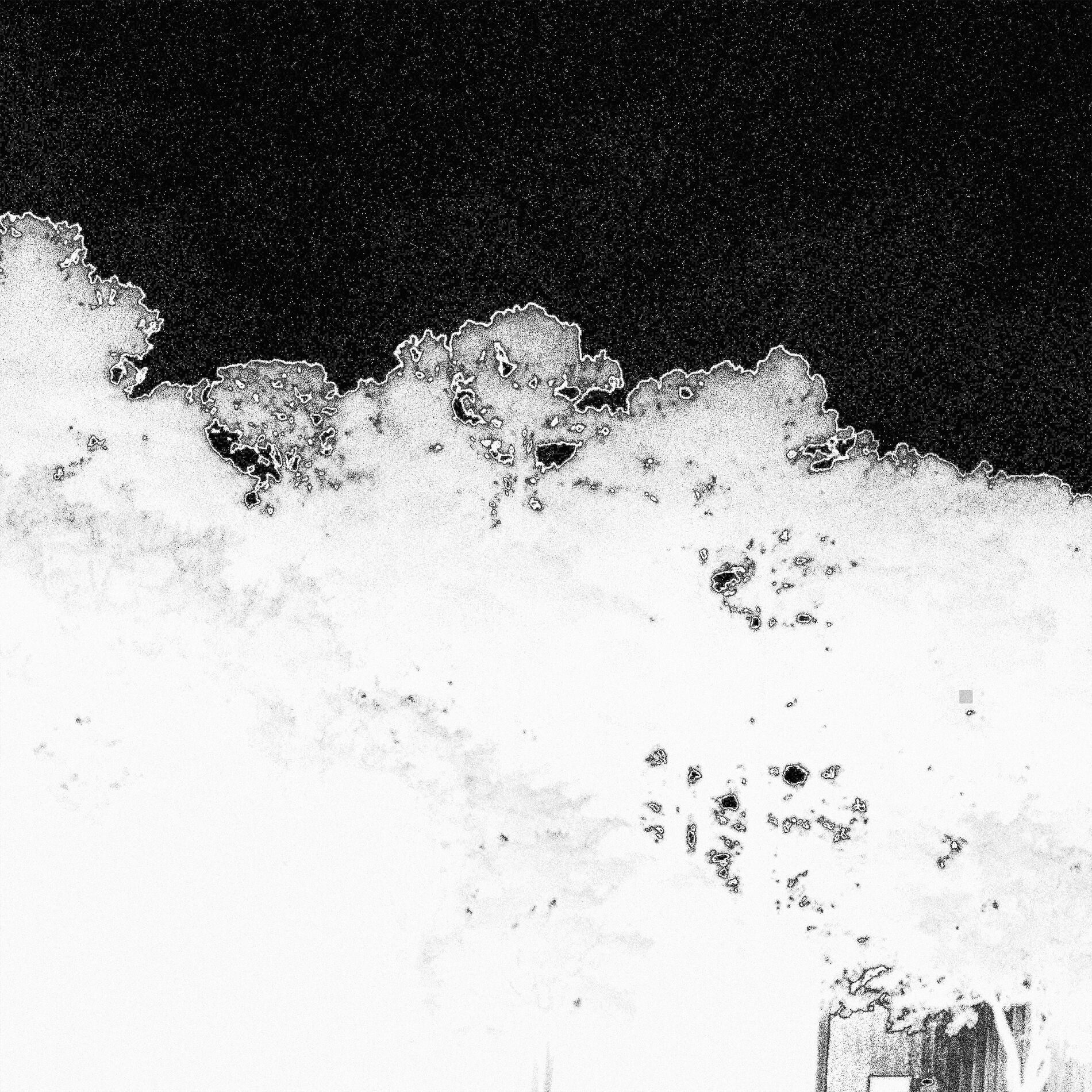 Album cover of stray