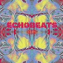 ECHOBEATS
