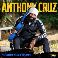 Cover of Under the Covers