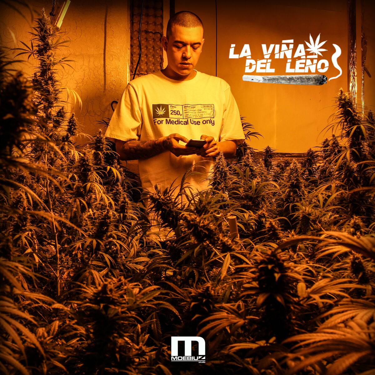 Album cover of La Viña del Leño