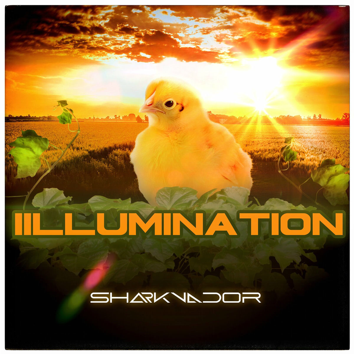 Album cover of Illumination