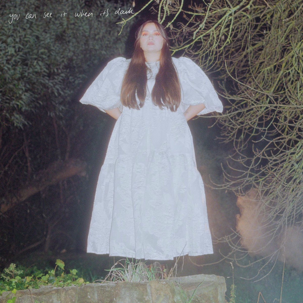 Album cover of You Can See It When It's Dark