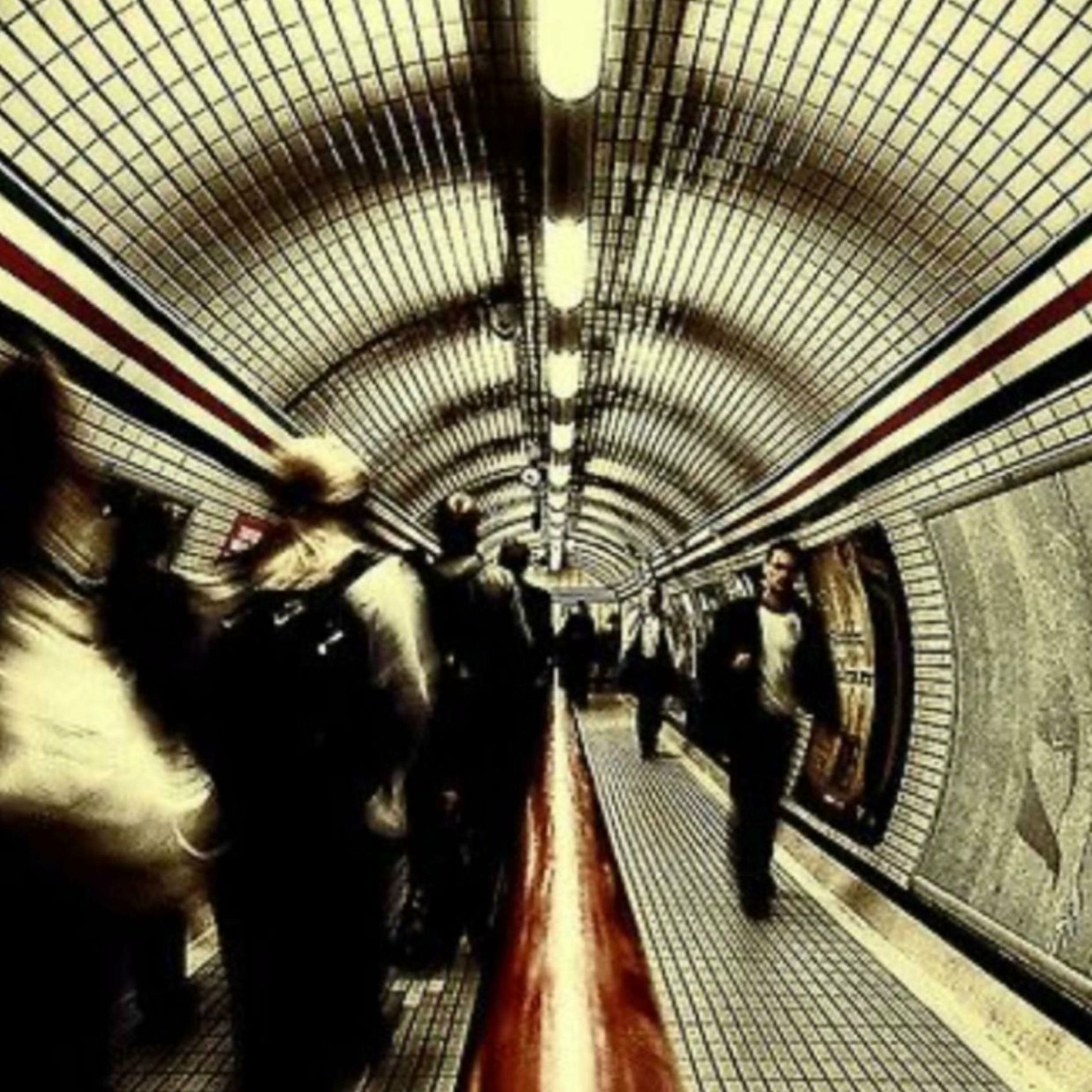 Album cover of the 1 (feat. mako)