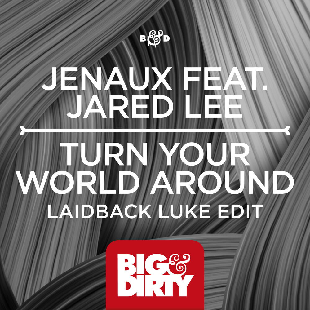 Picture of Turn Your World Around (Laidback Luke Edit)