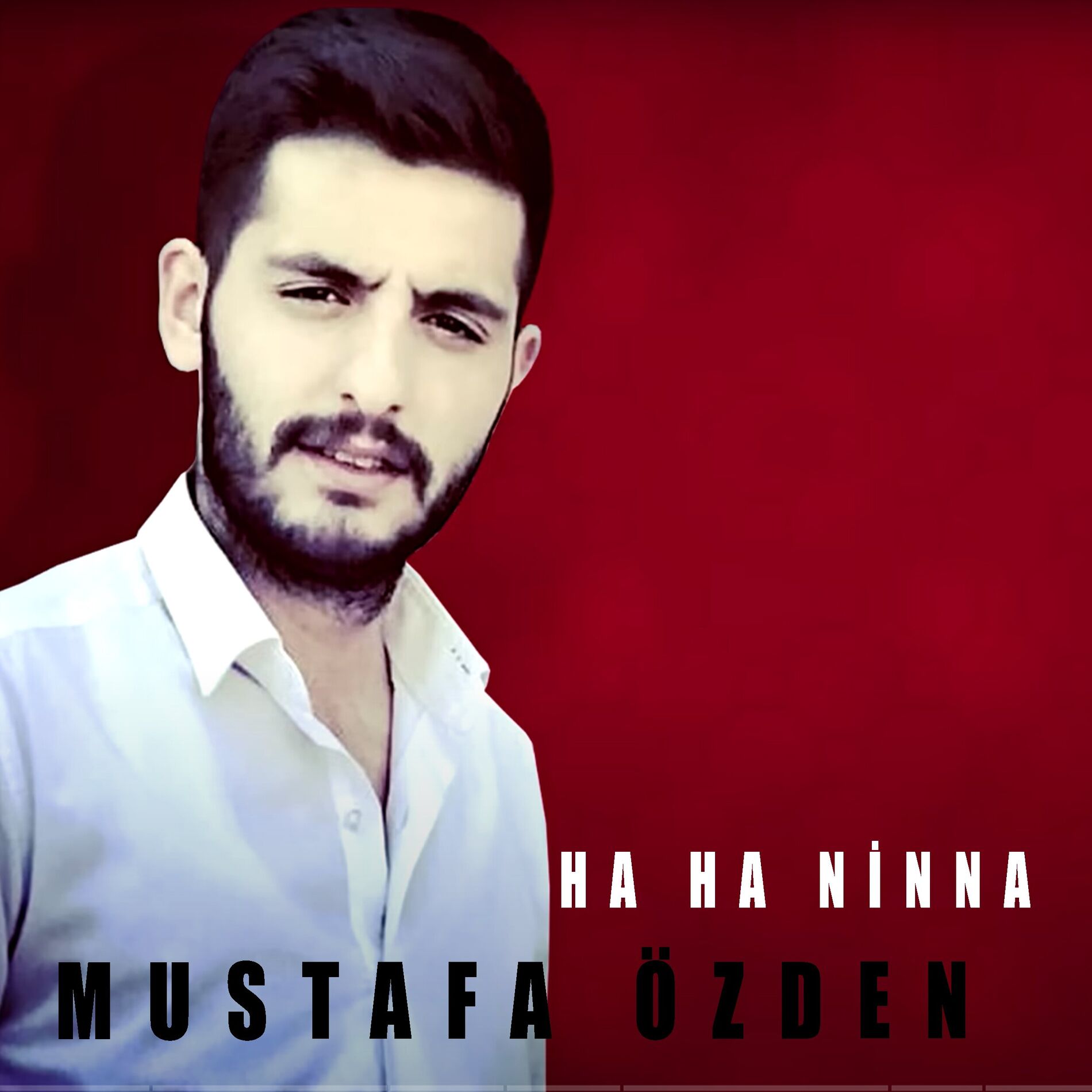 Album cover of Ha Ha Ninna