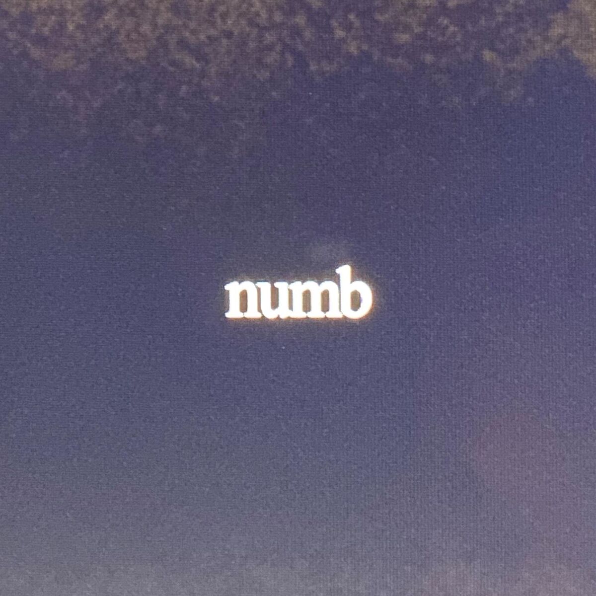 Album cover of numb