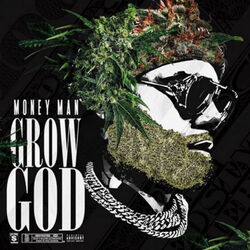 Cover of Grow God