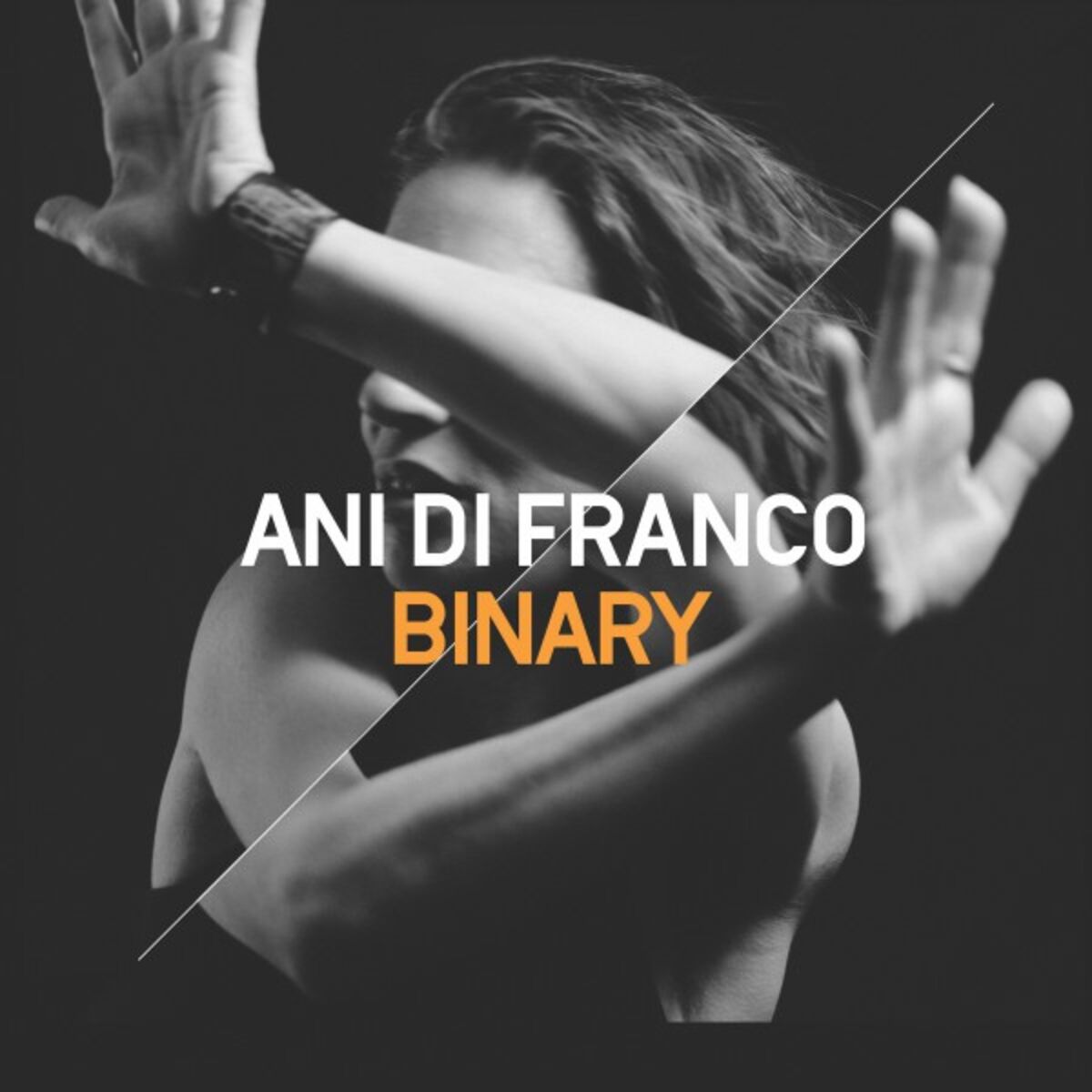 Album cover of Binary