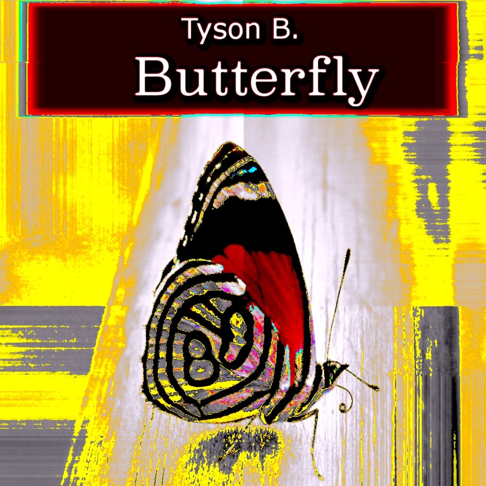 Picture of Butterfly