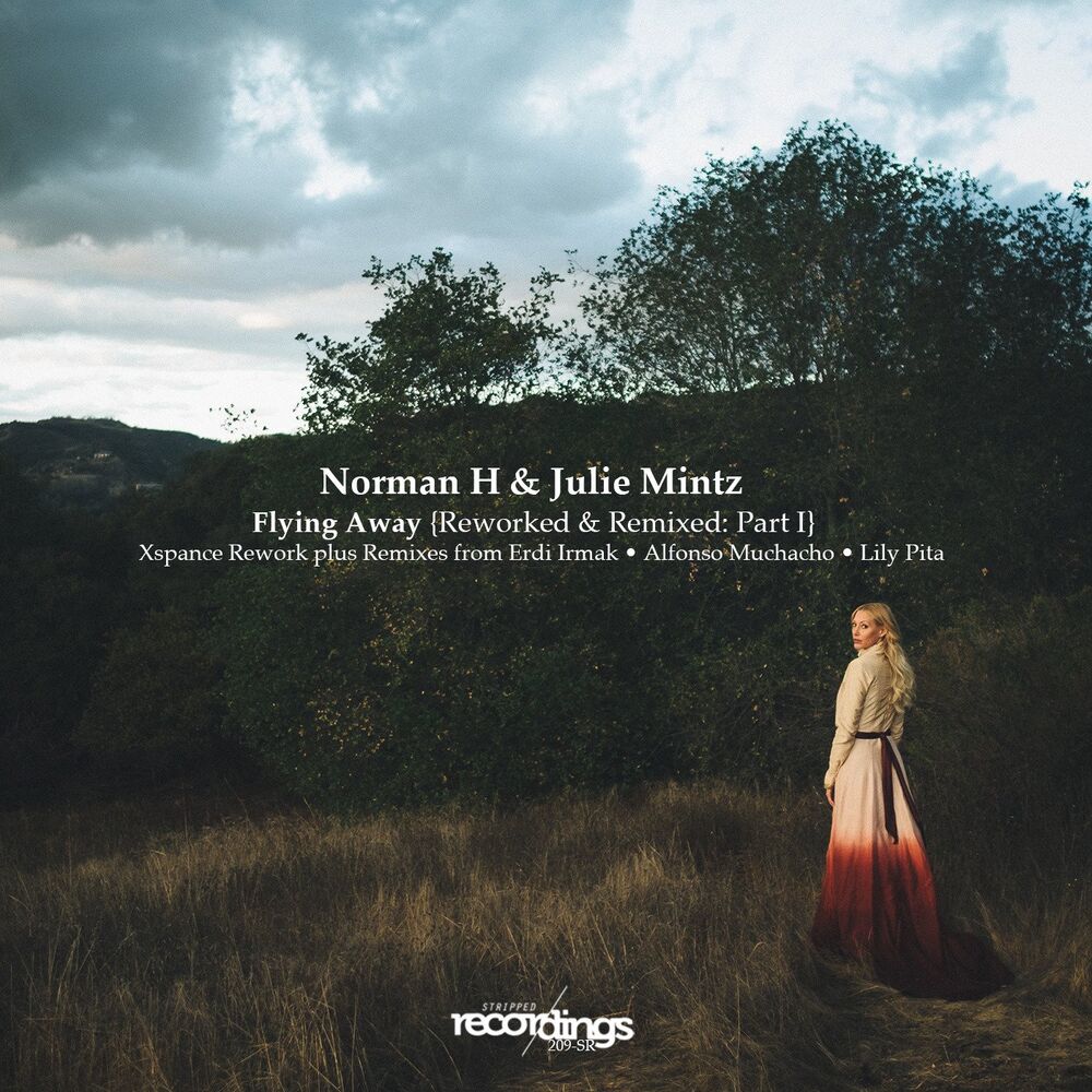 Picture of Flying Away {Reworked & Remixed: Part I}