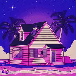 Cover of DRAGON BALL LOFI