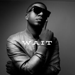 Cover of WAIT