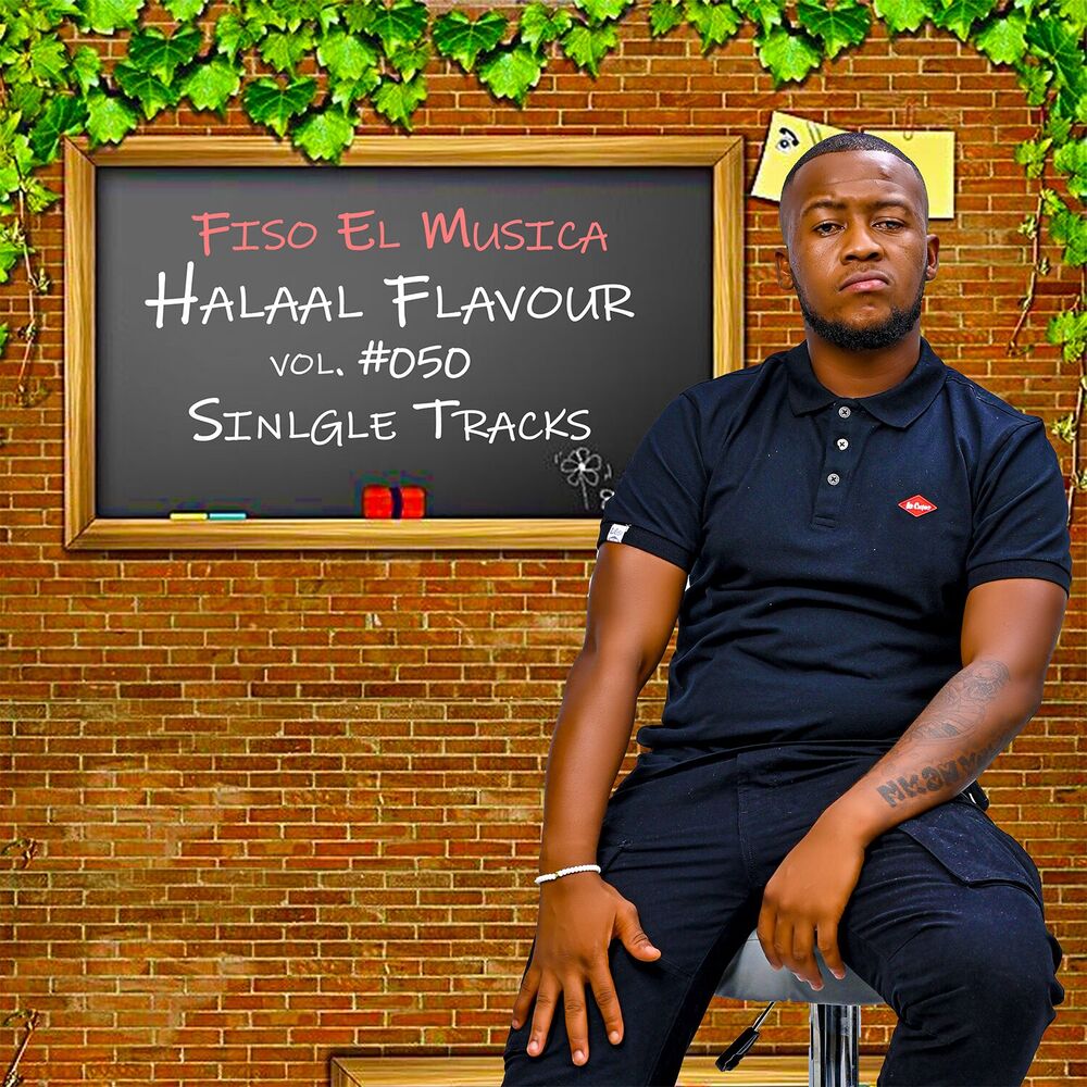 Picture of Halaal Flavour Vol, #50 Singles Tracks