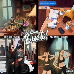 Cover of En un Vuelo