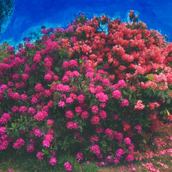 Cover of I Will Be Waiting (Baths Remix)