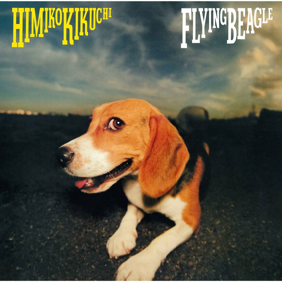 Album cover of FLYING BEAGLE