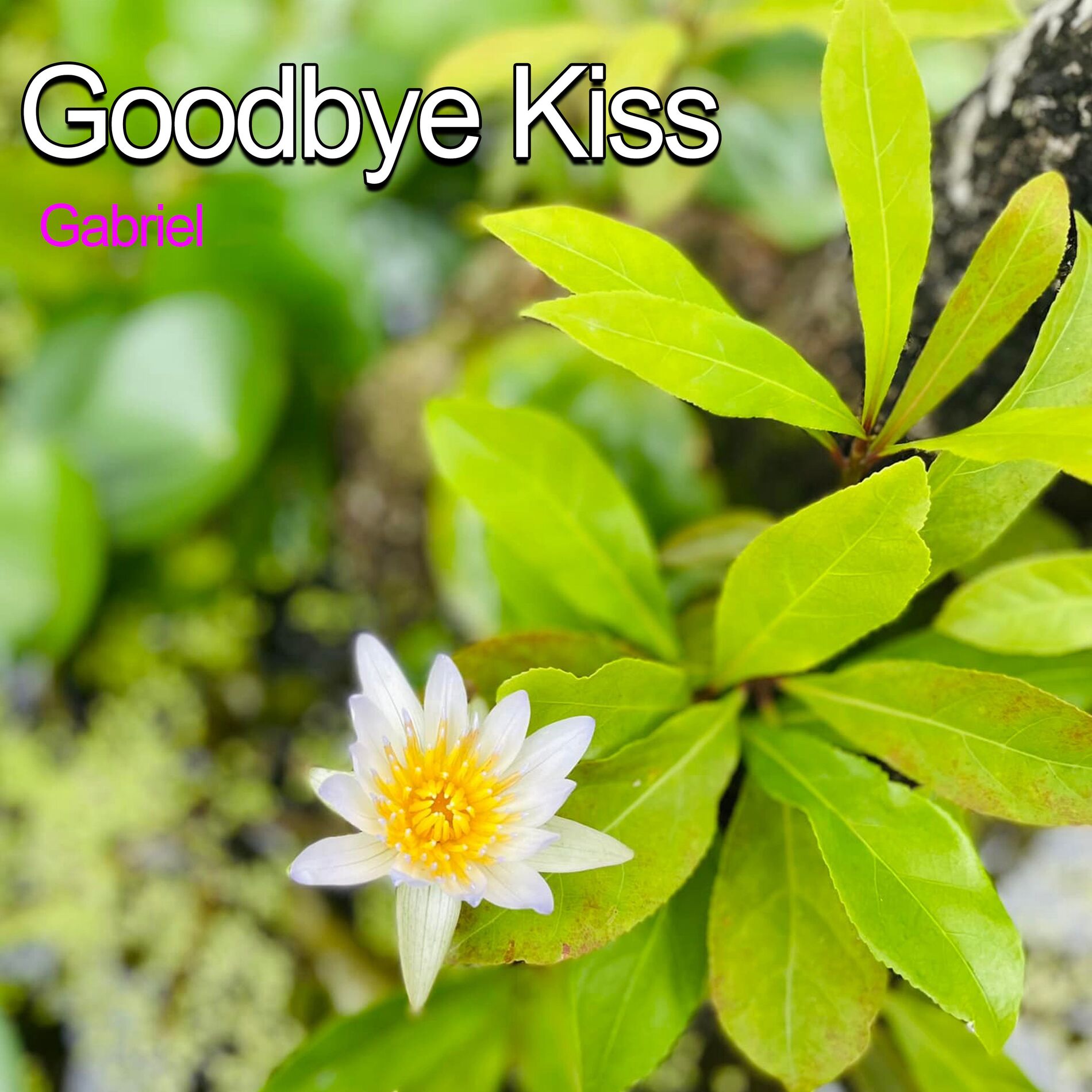 Album cover of Goodbye Kiss