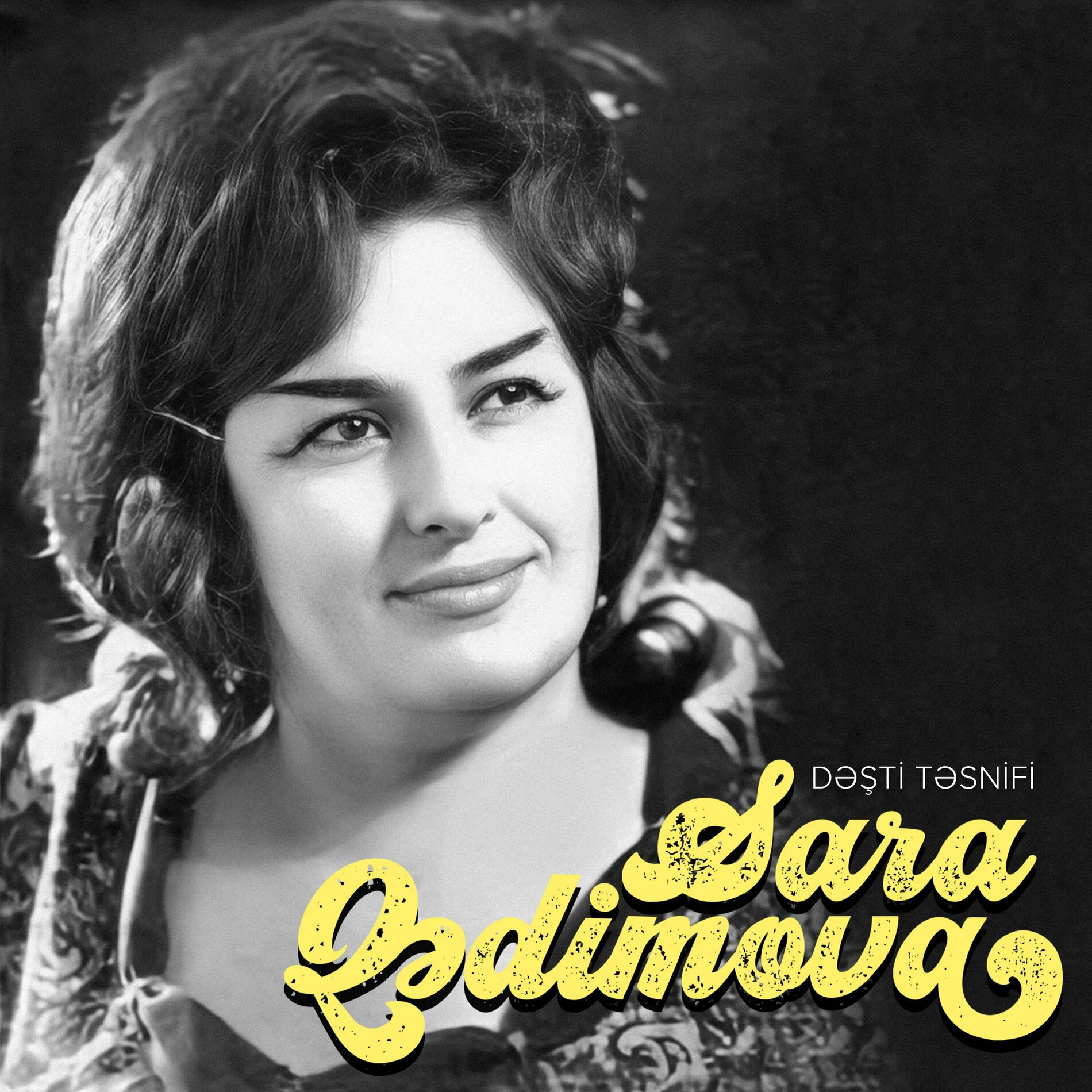Album cover of Dəşti Təsnifi