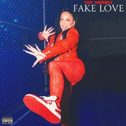 Cover of Fake Love
