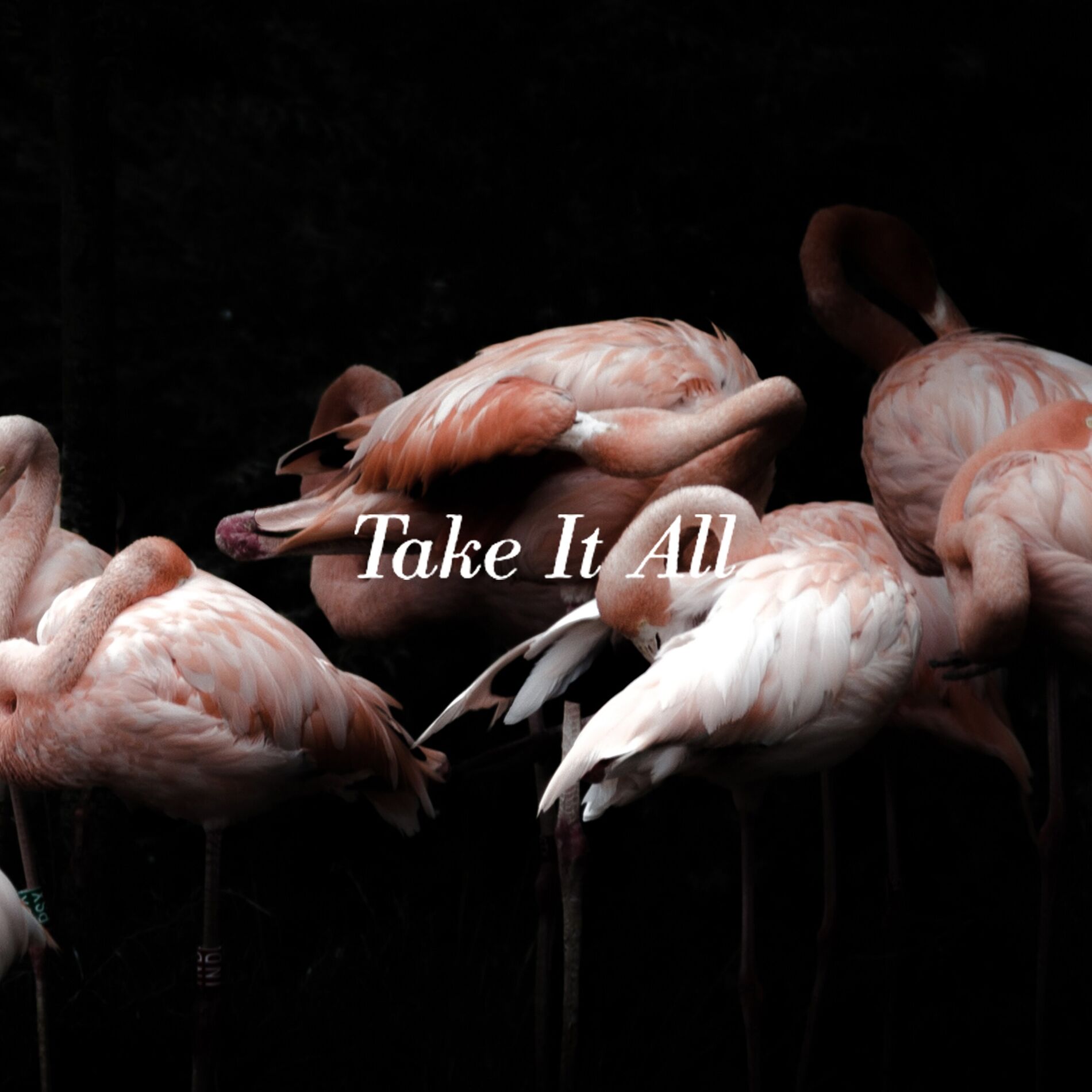 Album cover of Take It All