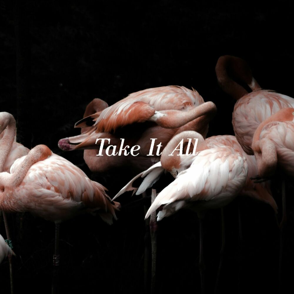 Picture of Take It All