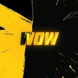 Cover of Wow