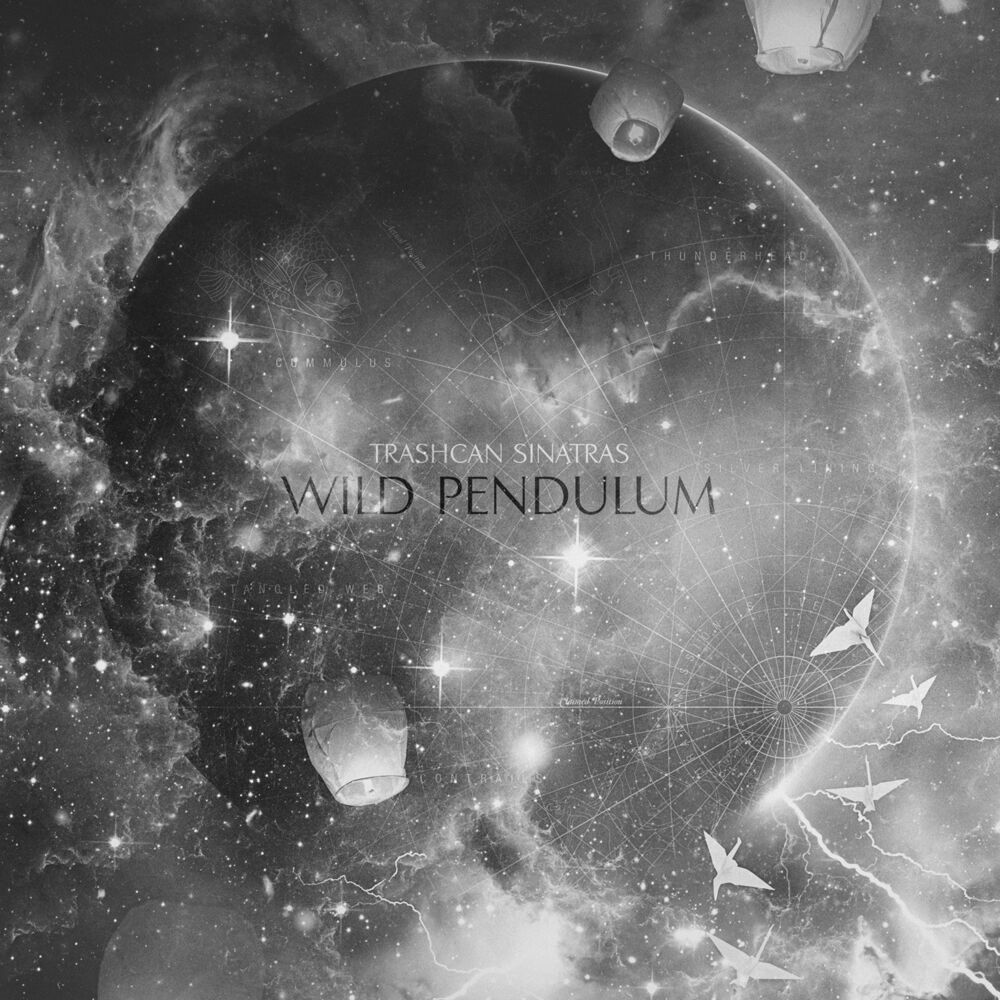 Picture of Wild Pendulum
