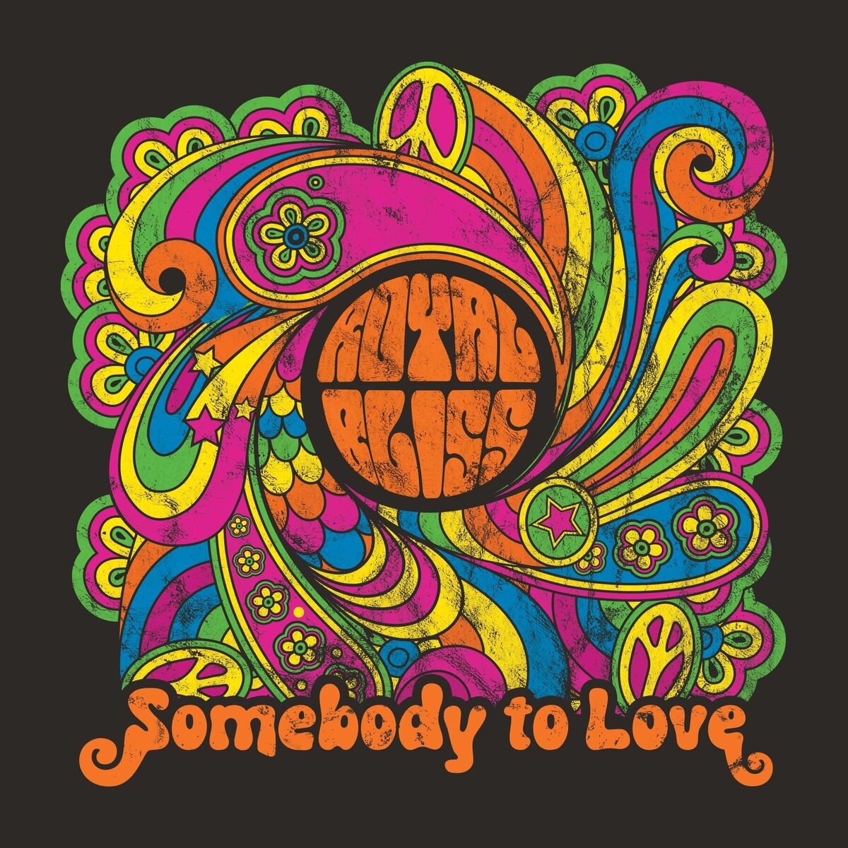 Album cover of Somebody To Love