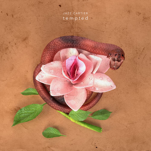 • TEMPTED by Jazz Cartier - 102 BPM