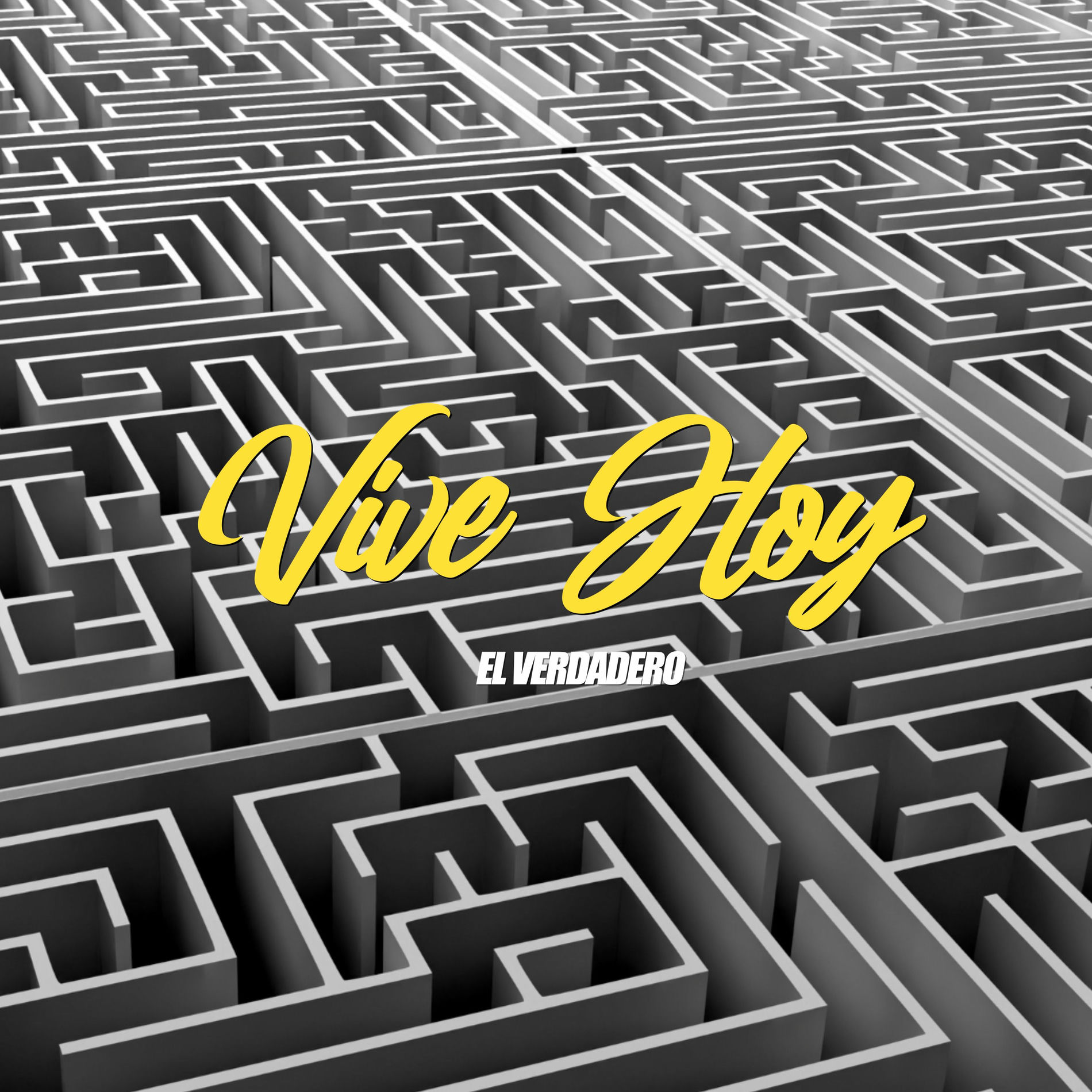 Album cover of Vive Hoy