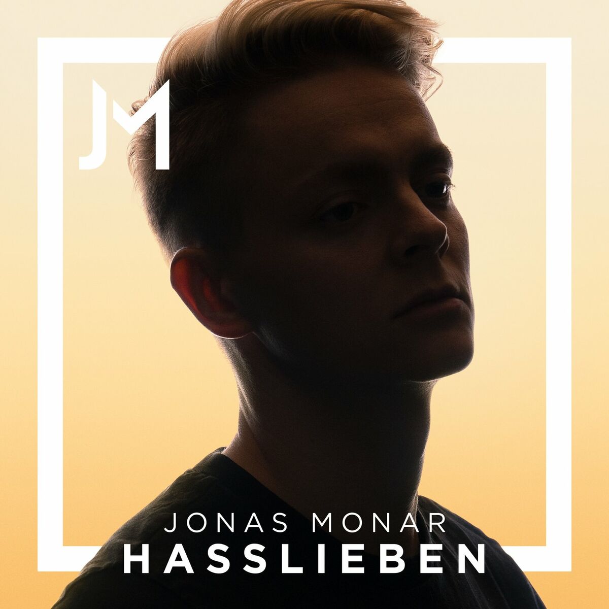 Album cover of Hasslieben
