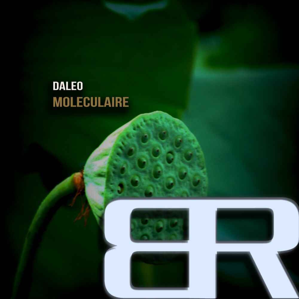 Picture of Moleculaire
