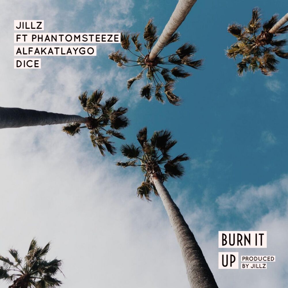 Picture of Burn It Up (feat. Phantom Steeze, ALFAKATLAYGO & Dice)