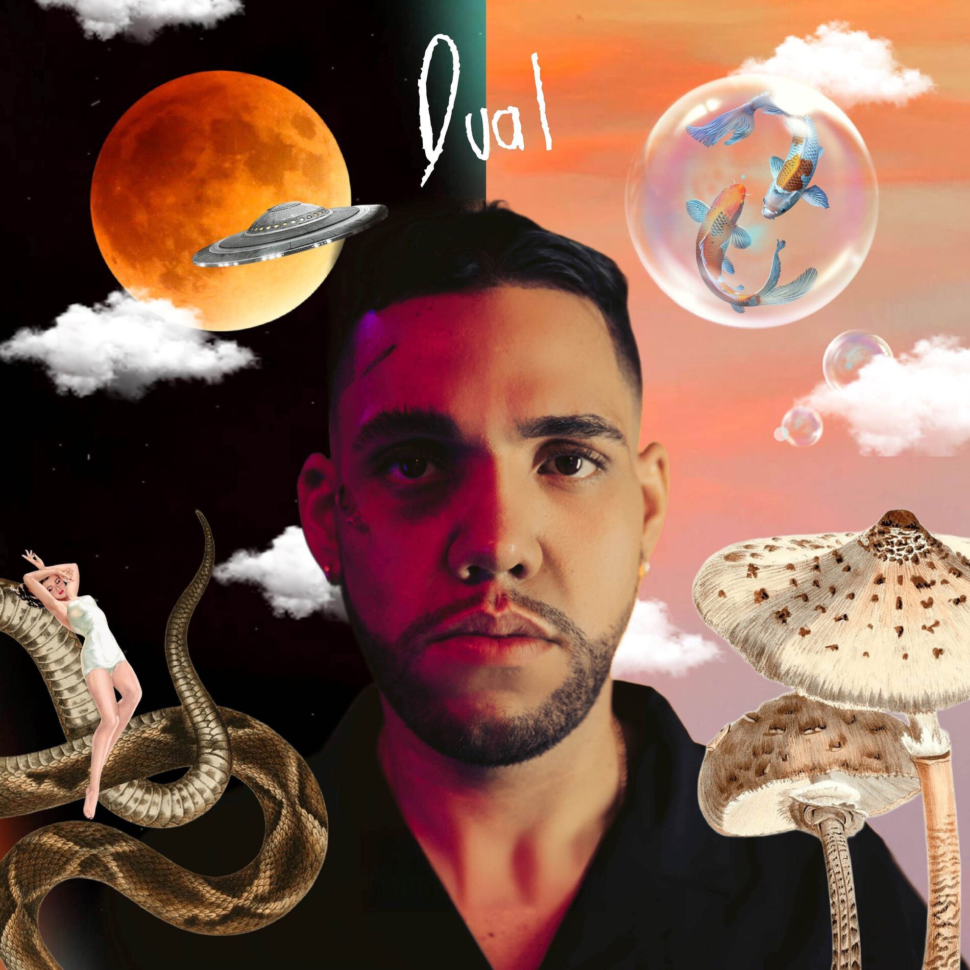 Album cover of Dual