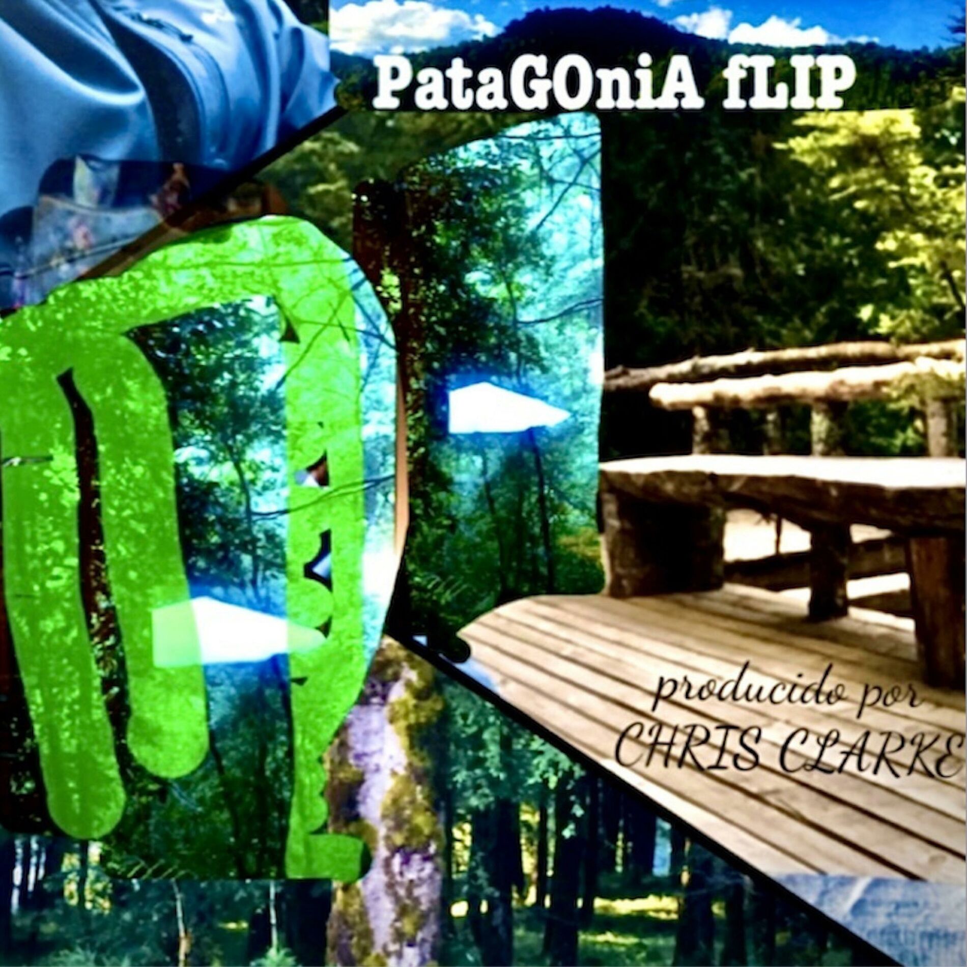Album cover of flip1: PataGOniA fLIP