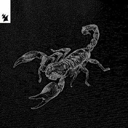 Cover of Animal