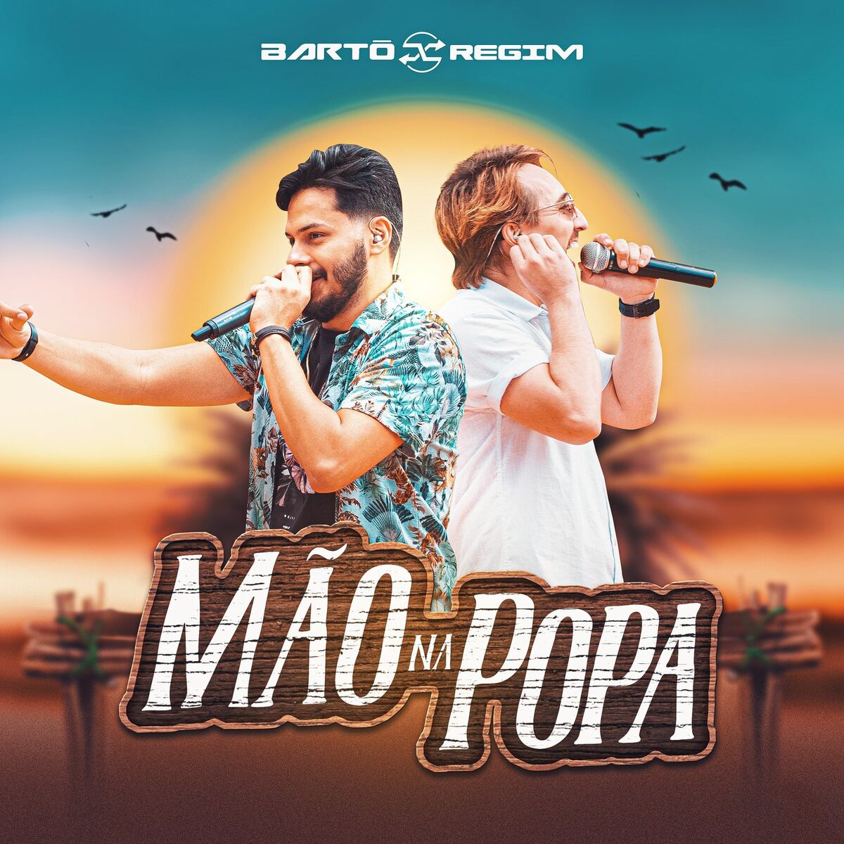 Album cover of Mão Na Popa