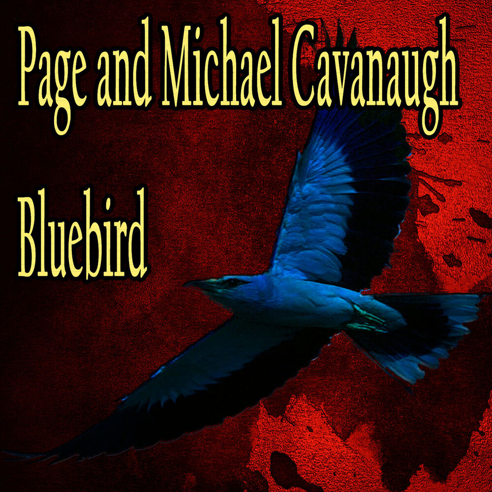 Picture of Bluebird