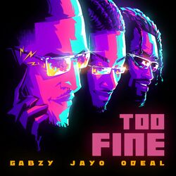Cover of Too Fine