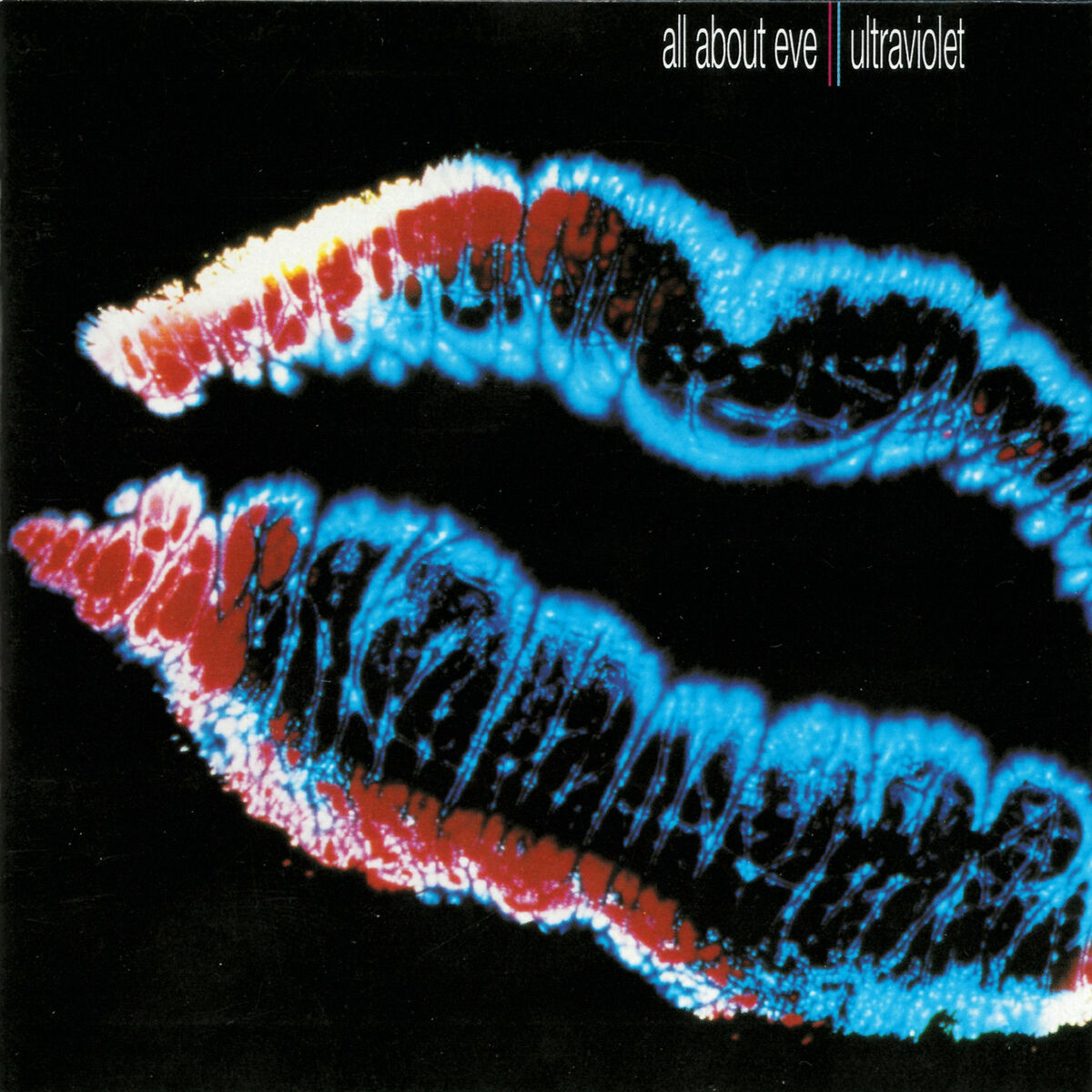 Album cover of Ultraviolet