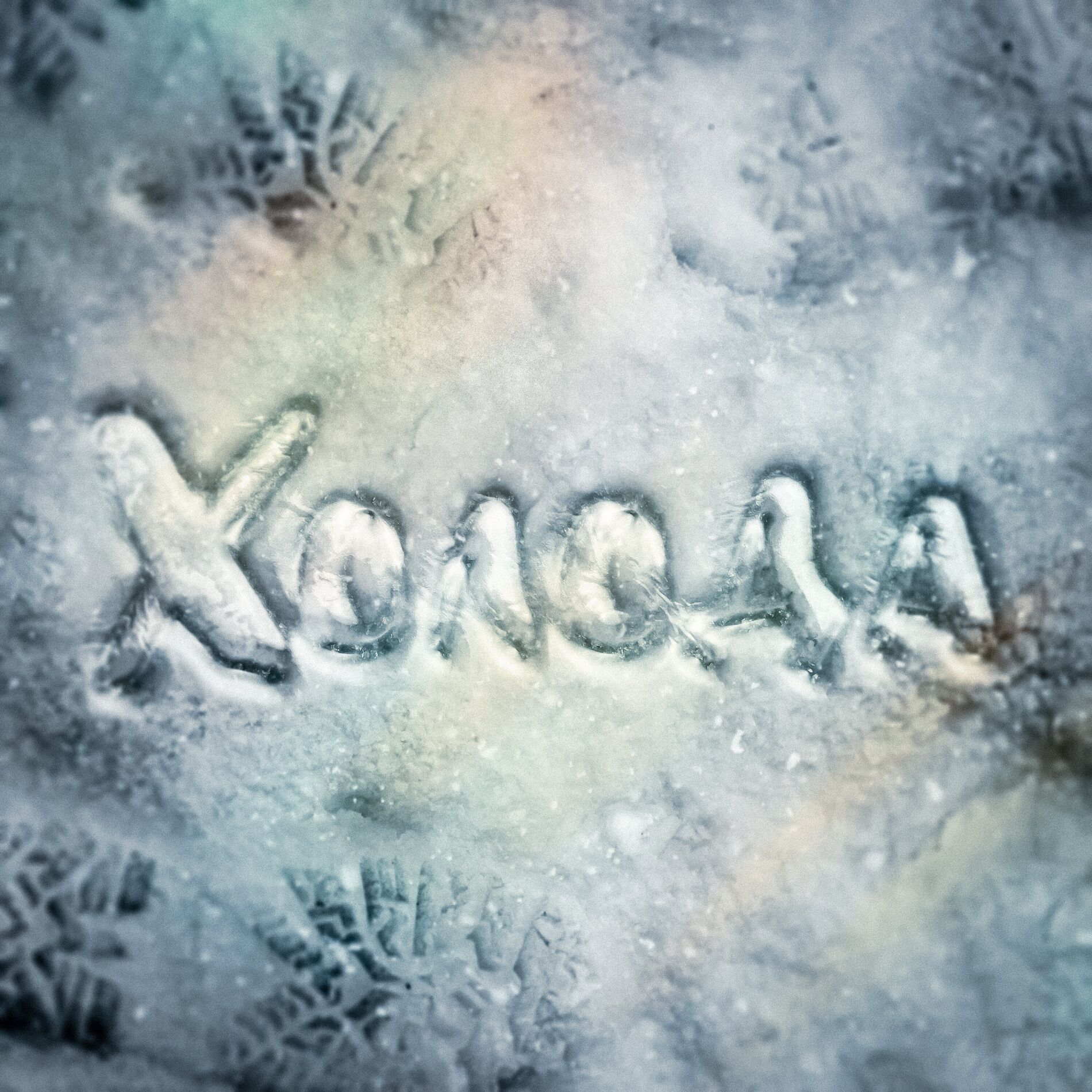 Album cover of Холода