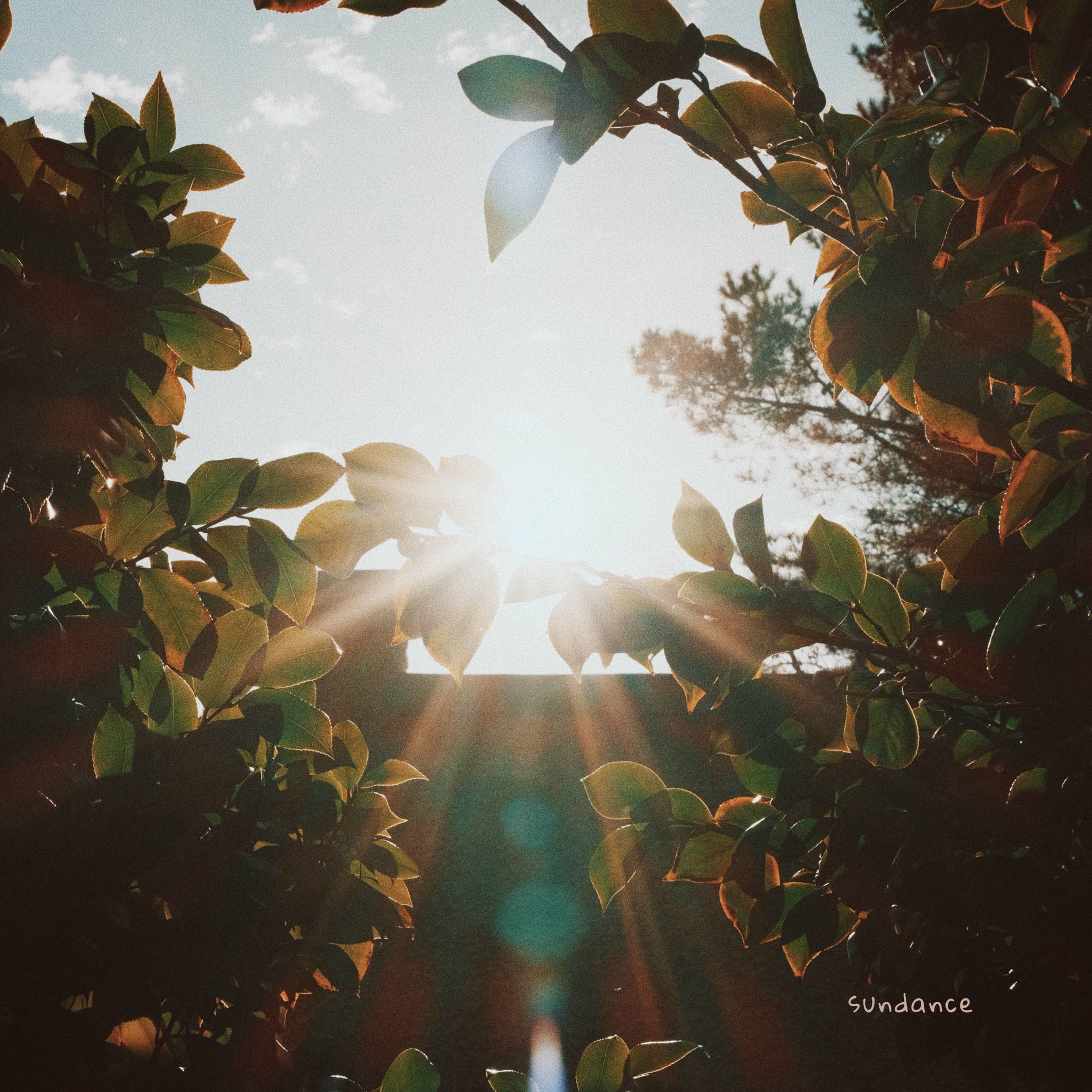 Album cover of Sundance