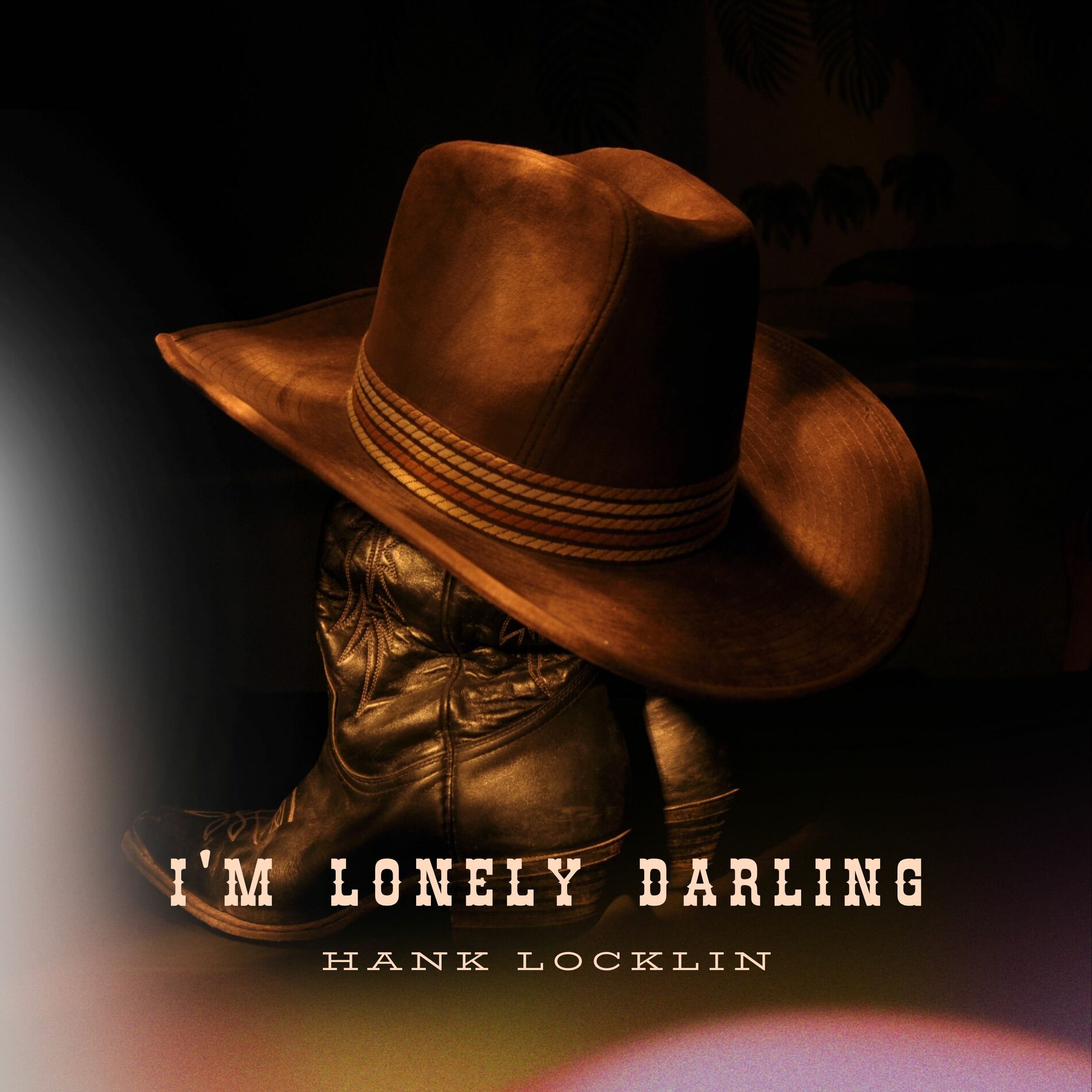 Album cover of I'm Lonely Darling