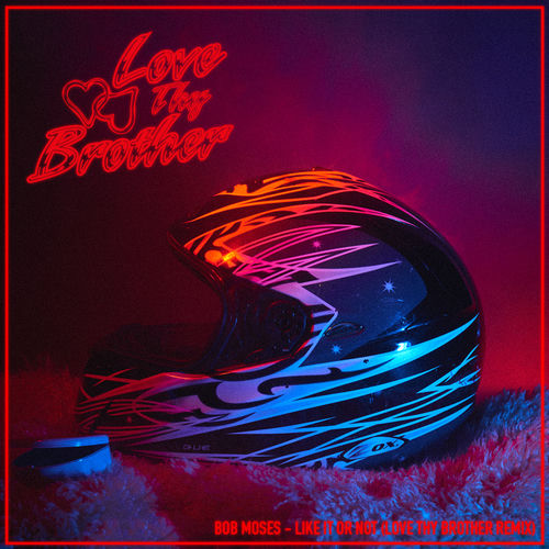 Like It Or Not - Love Thy Brother Remix by Bob Moses - 95 BPM