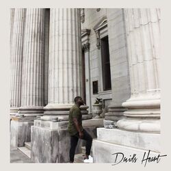 Cover of David's Heart
