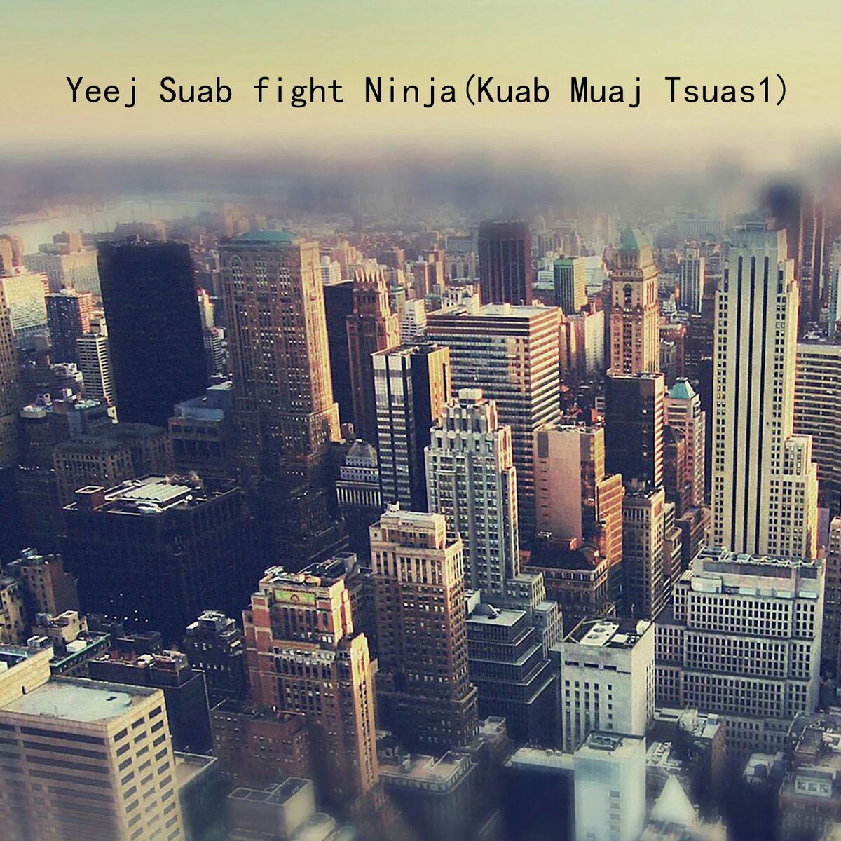 Album cover of Yeej Suab fight Ninja ( Kuab Muaj Tsuas 1)