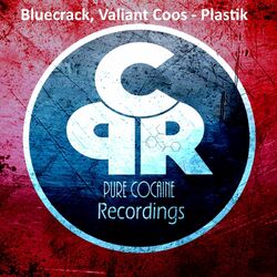 Cover of Plastik
