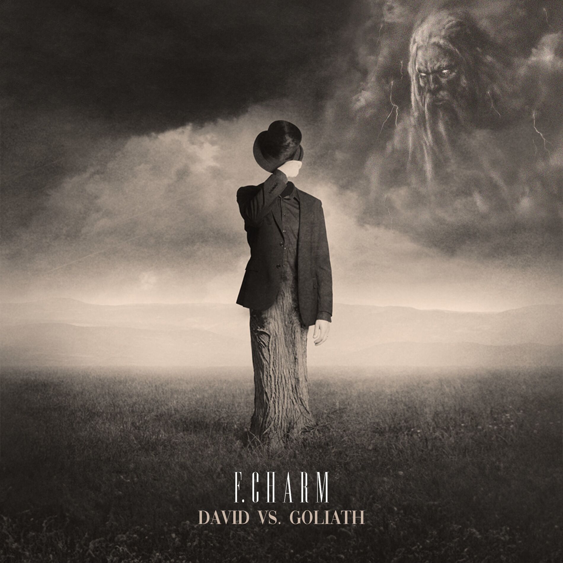 Album cover of David vs. Goliath